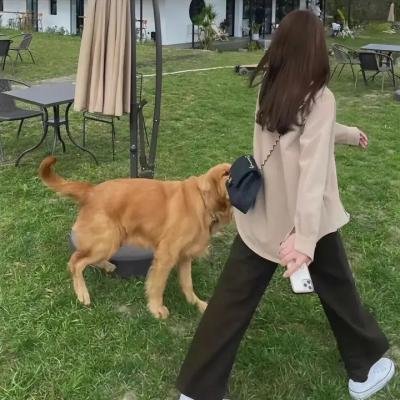 无名火